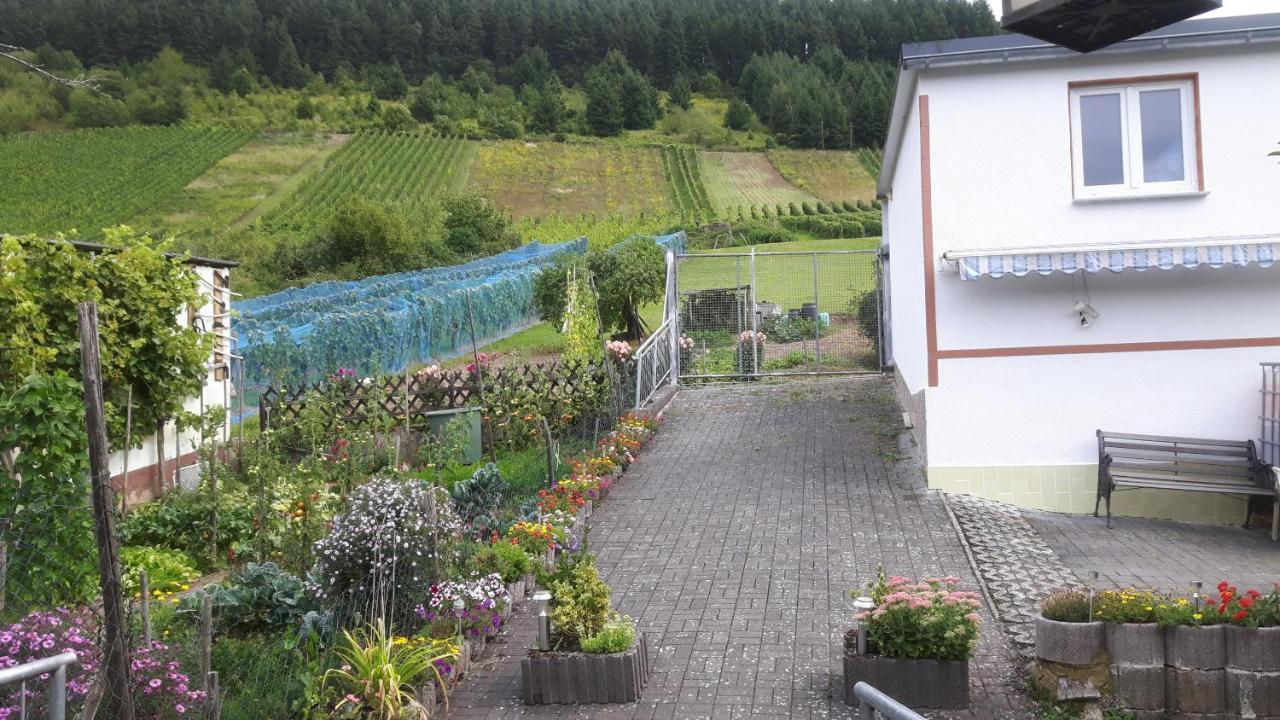 Zwei Ferienwohnungen "Im Weingarten " Burg  Luaran gambar